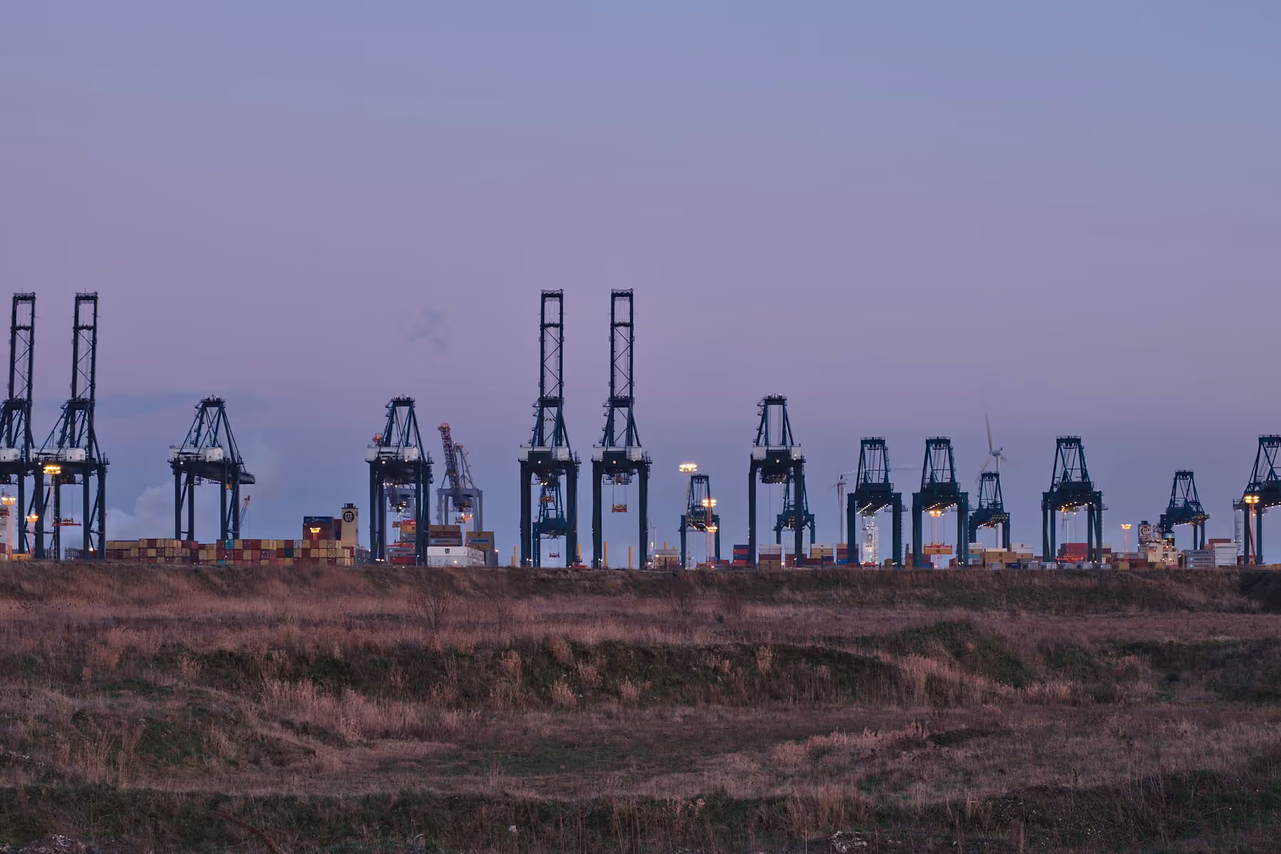 A long row of container gantry cranes silhouetted above flat ground at dusk